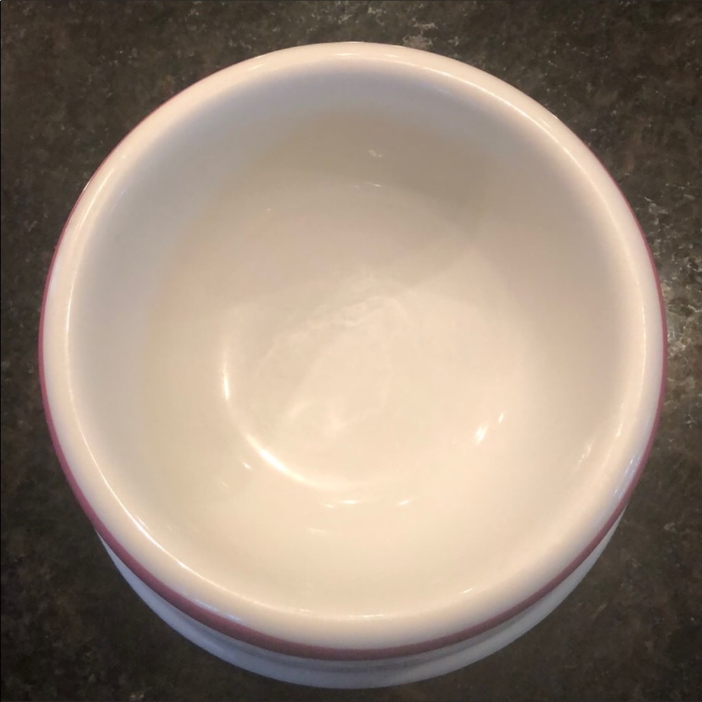 RARE Pink Victoria’s Secret Ceramic dog bowl - Picture 5 of 6